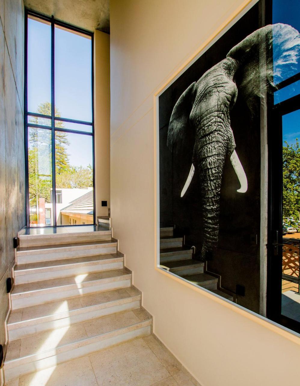De Haas Living @ Die Laan 2 Stellenbosch Exterior photo